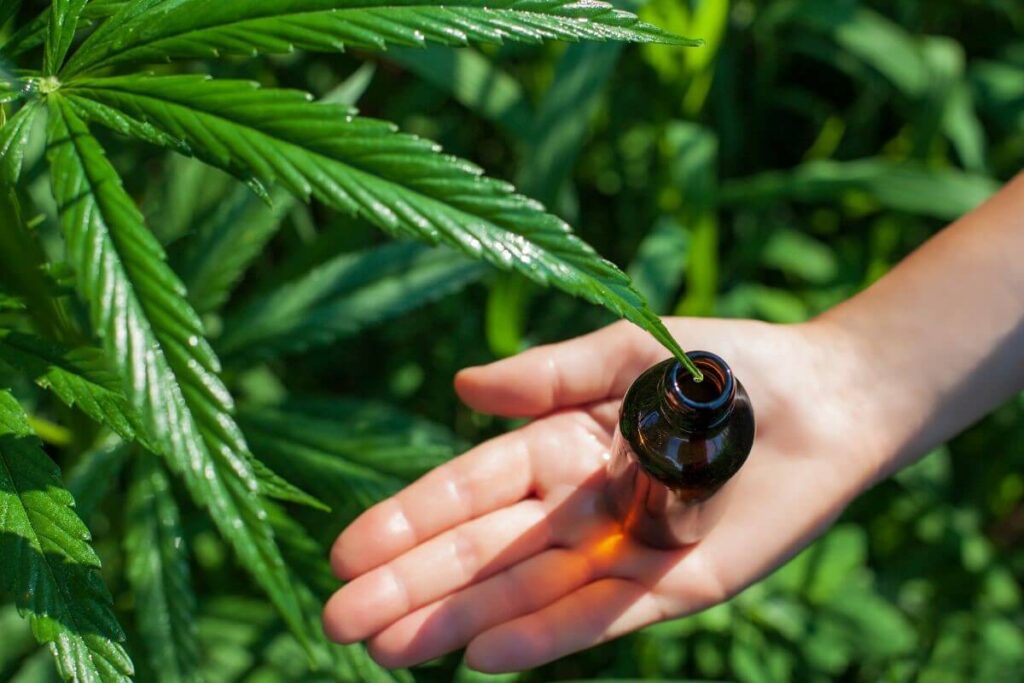 Wie Cannabis das Leben von Krebspatienten verändert: Eine neue Hoffnung auf Linderung