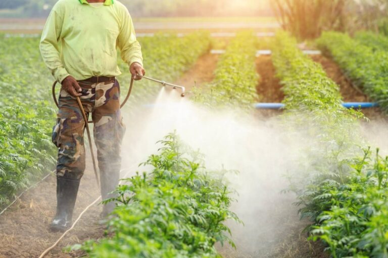 Welcher Dünger ist ideal für deinen Garten? Flüssigdünger, mineralischer Dünger oder der beste Mix?