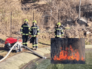 Waldbrand Latsch 2025 – Ursache, Schäden und Rettung einfach erklärt! waldbrand latsch