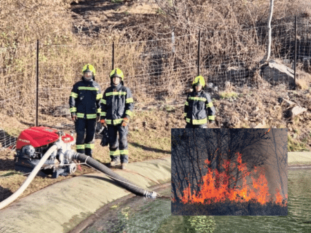waldbrand latsch