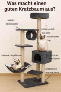 Katzenspielzeug & Kratzbaum