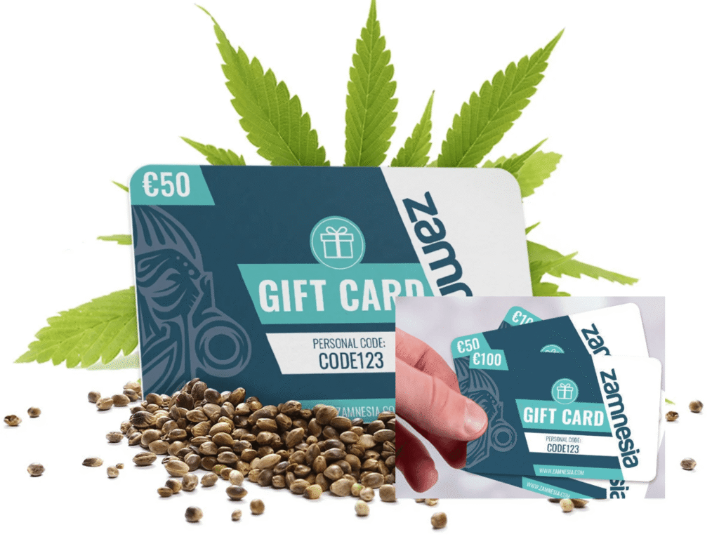 Zamnesia Gutscheincode 2025 – Jetzt sparen! Zamnesia Gutscheincode 2025
