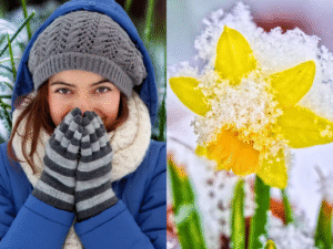 prognose eisheilige 2025