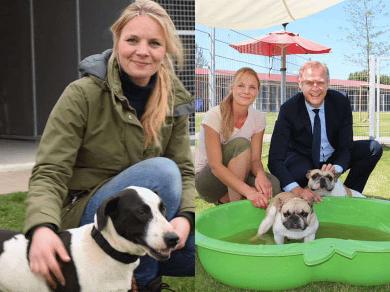 julias tierheim ahaus