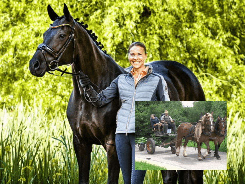 Reitsport Manski Retour – Rücksendung einfach erklärt! reitsport manski retoure