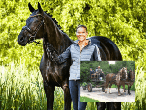 reitsport manski retoure