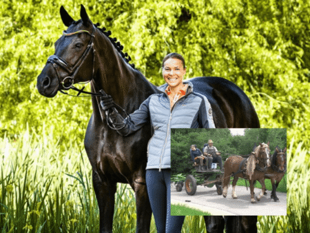 reitsport manski retoure