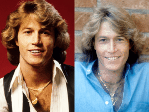 Andy Gibbs Todesursache – Die offizielle Wahrheit einfach erklärt? andy gibb todesursache