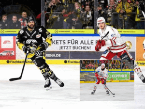 Krefeld Pinguine Liveticker: Aktuelle Spiele live verförchen? krefeld pinguine liveticker